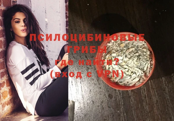 дживик Елизово