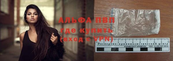 PSILOCYBIN Елабуга