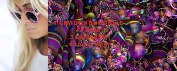 меф Ельня