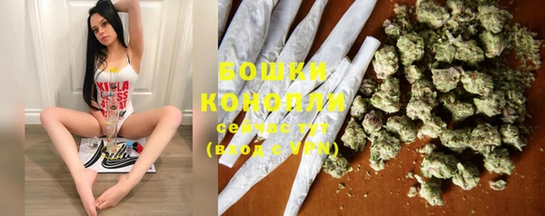 дживик Елизово