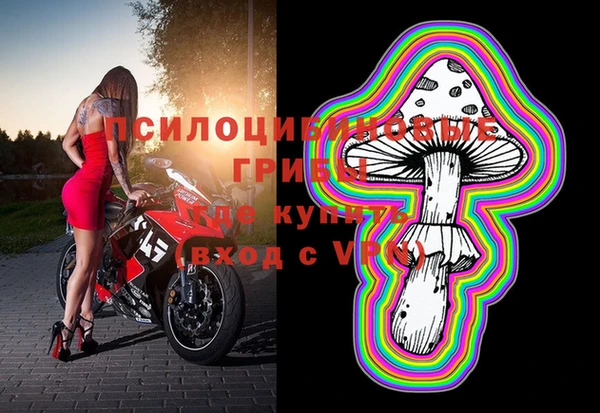 PSILOCYBIN Елабуга