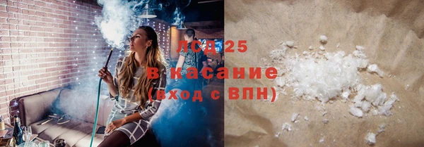 меф Ельня