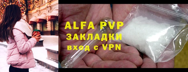 PSILOCYBIN Елабуга