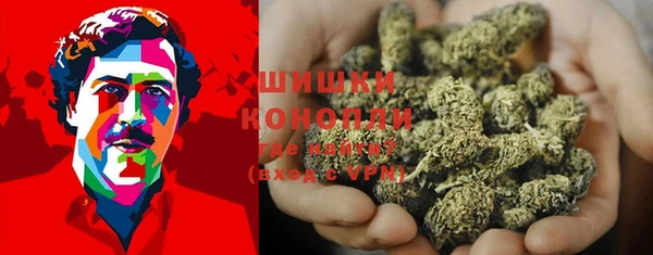 дживик Елизово